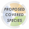 ICON-Proposed Covered Species for  MSHCP Amendment (1)